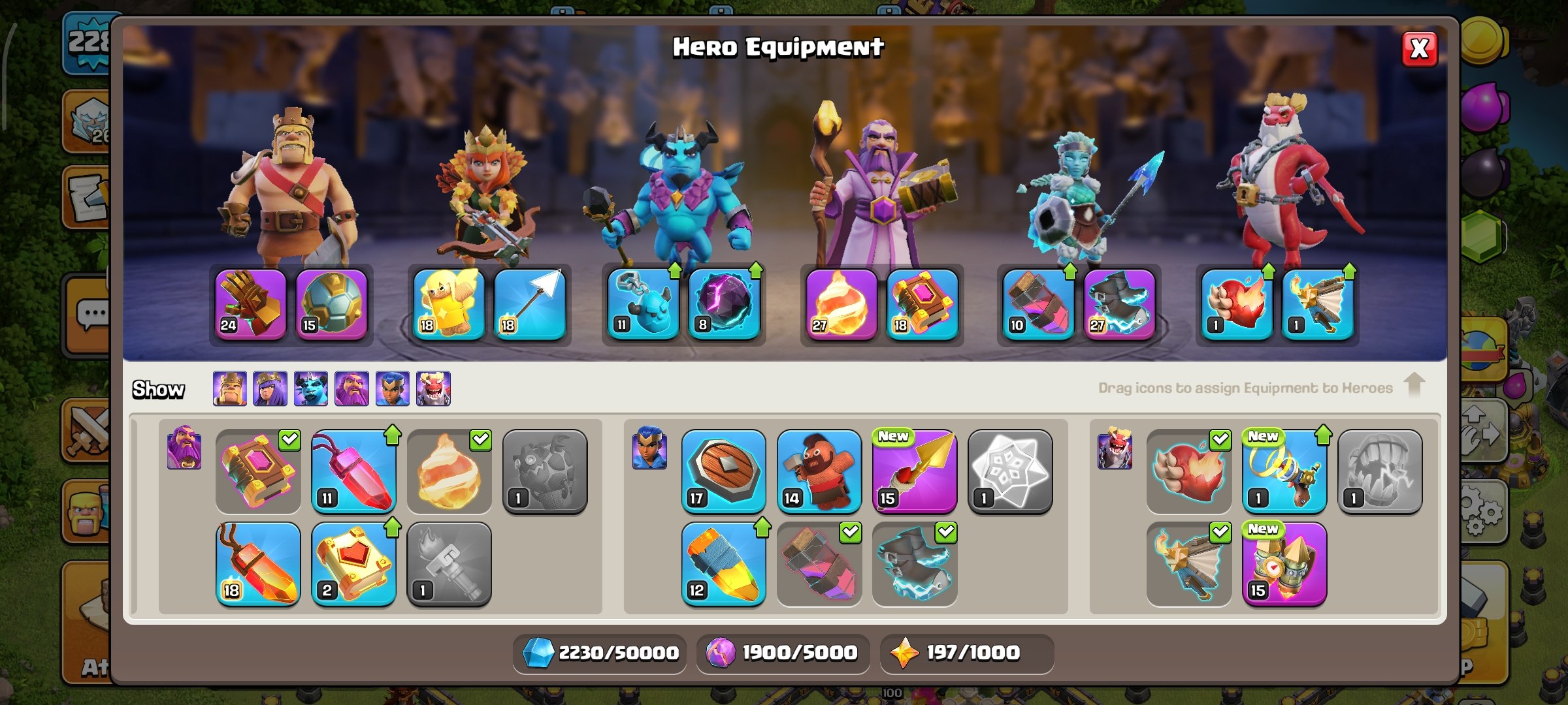 1000010228