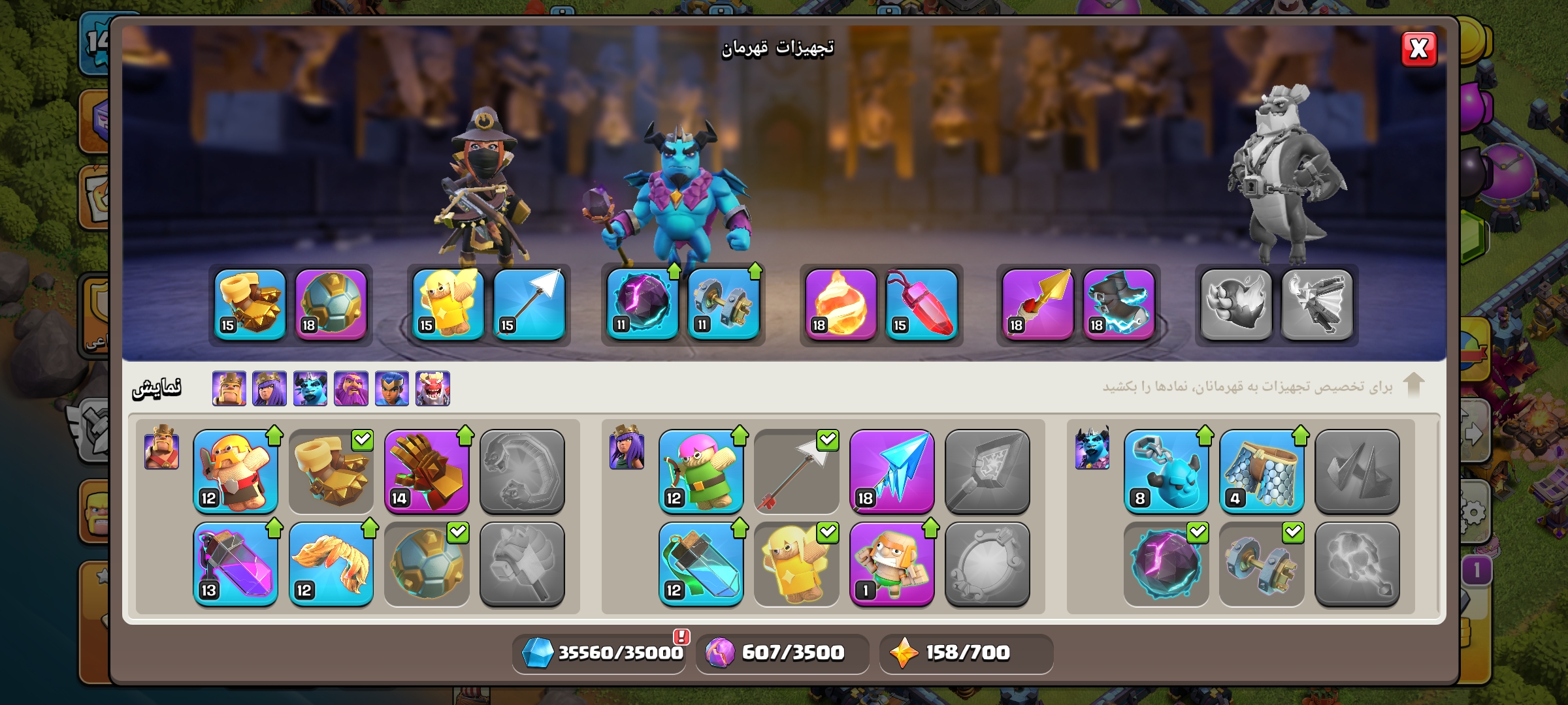 1000061137
