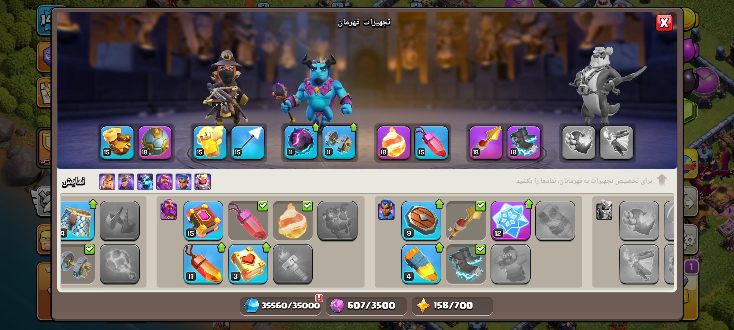 1000061138